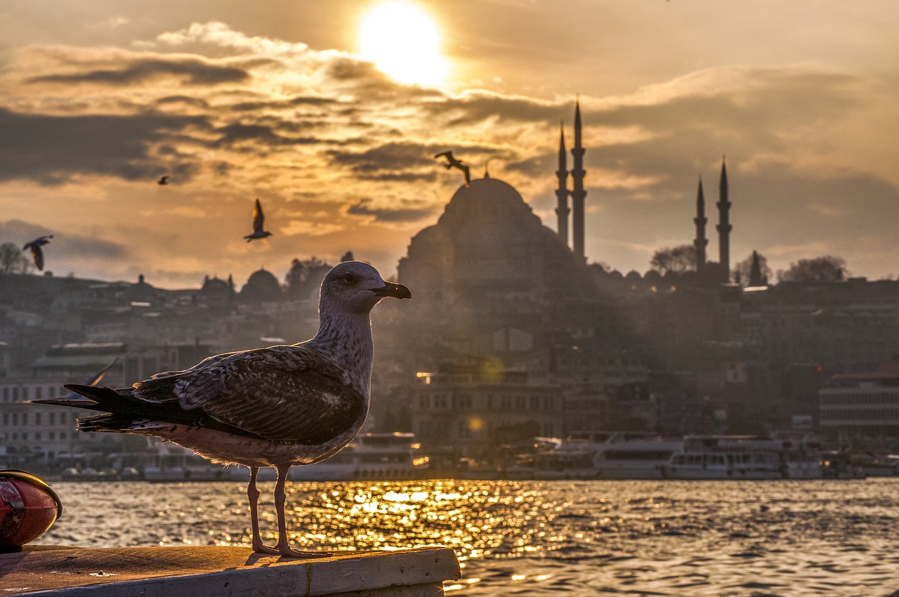 ESTAMBUL - VISTA 1280x850